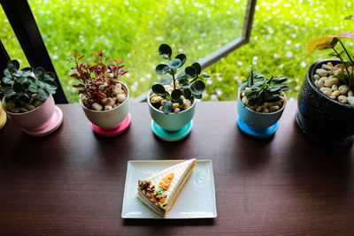 High angle view of potted plants on table