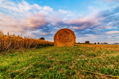 Hay bales on field against sky