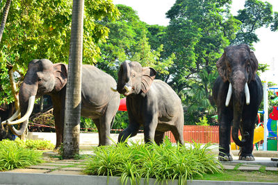 View of elephant statue