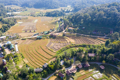 High angle view of agricultural field