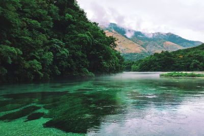 Scenic view of lake and mountains