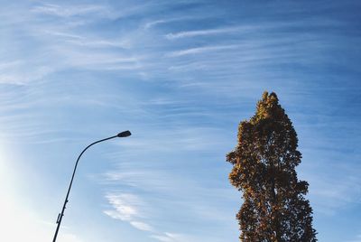 Low angle view of street light and tree against sky