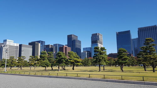 Trees and buildings against blue sky