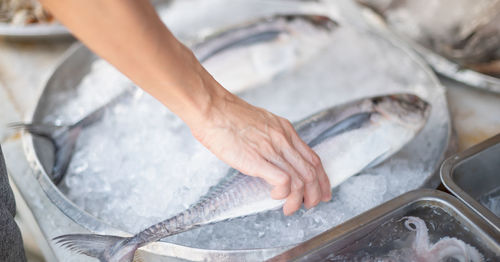 Female hand choosing sea fresh fish for cooking at the seafood market.