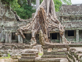 Old ruins of building