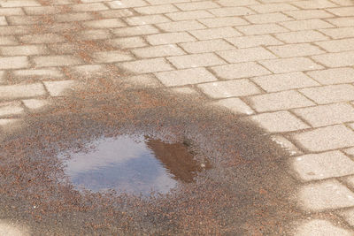 High angle view of wet puddle on street