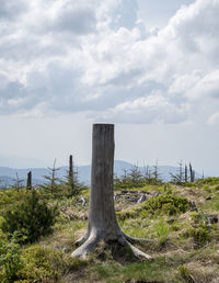 Wooden posts on field against sky