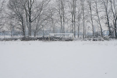 Bare trees on snow covered field