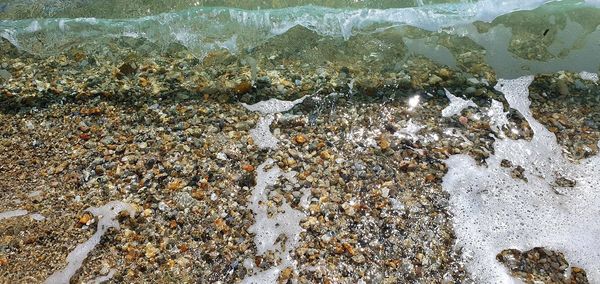 High angle view of beach