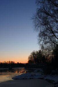 Trees against clear sky during sunset