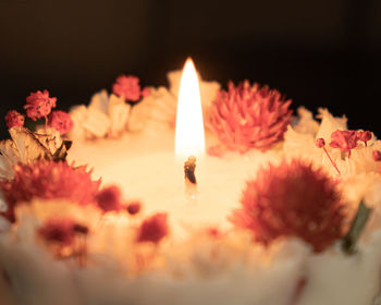 Close-up of lit candles on plant