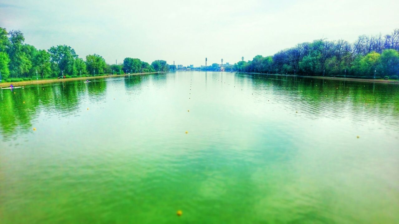 water, tree, reflection, lake, tranquility, waterfront, tranquil scene, nature, scenics, beauty in nature, river, sky, bird, clear sky, rippled, animal themes, growth, outdoors, day, no people