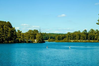 Swan swimming in lake against blue sky
