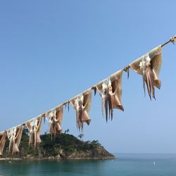 Low angle view of birds flying over sea against clear sky