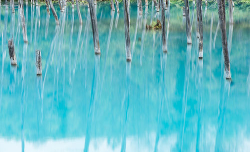 Close-up of swimming pool