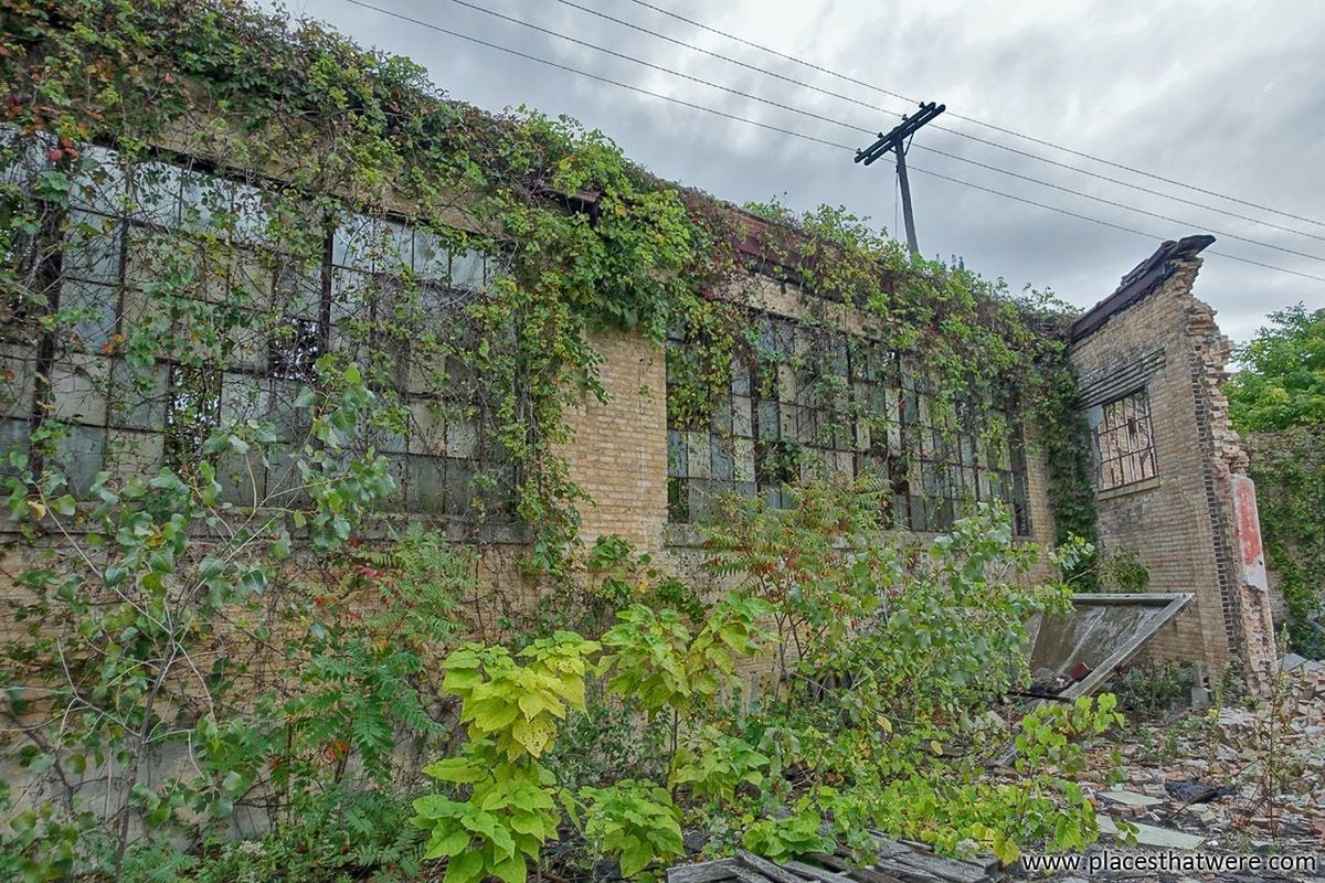 day, architecture, no people, built structure, low angle view, cable, growth, outdoors, sky, nature