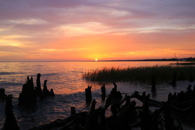 Silhouette driftwood at beach against sky during sunset