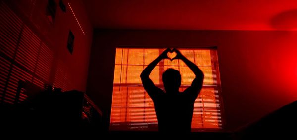 Rear view of silhouette man standing by window