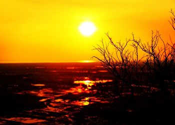 Silhouette plants by sea against romantic sky at sunset