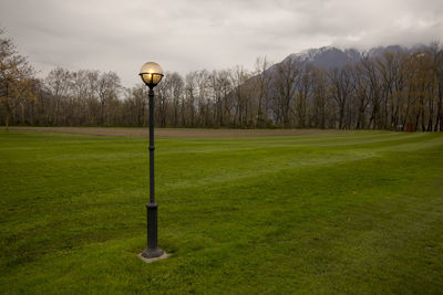 Illuminated street light on grassy field against bare trees