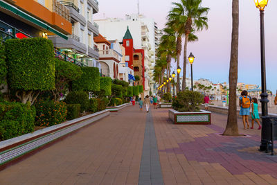 Palm trees in city against sky