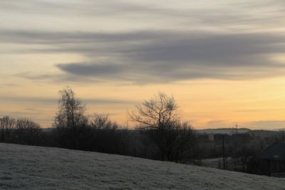 Bare trees on field against cloudy sky