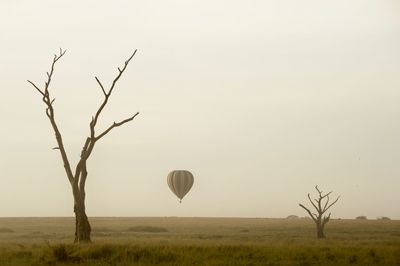 View of hot air balloon against clear sky