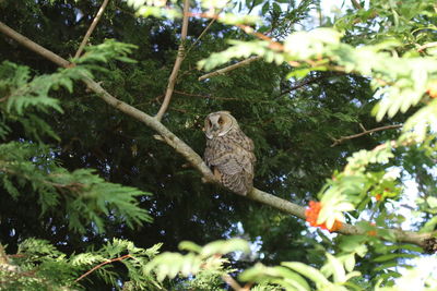 Bird perching on branch