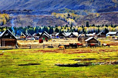 House on field by houses against mountains