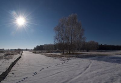 Trees on snowcapped field against sky during winter