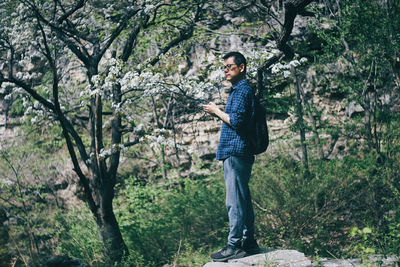 Rear view of man standing on footpath amidst pear trees in forest