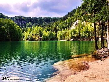 Scenic view of lake in forest against sky