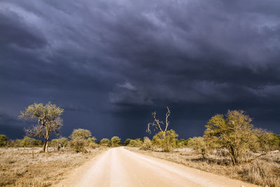 Road by trees against storm clouds