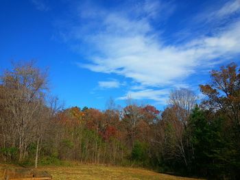 Scenic view of landscape against blue sky