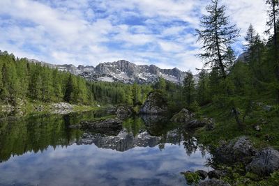 Reflection of trees in lake