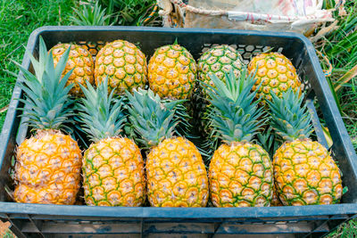 High angle view of pineapples for sale in market