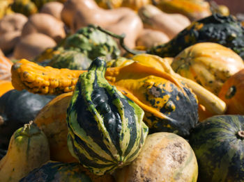 Close-up of pumpkins for sale at market stall