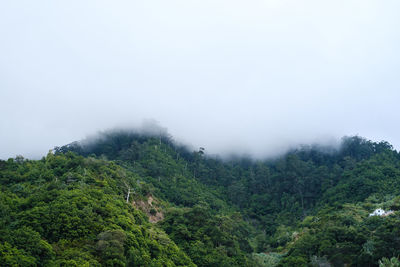 Scenic view of tree mountains against sky