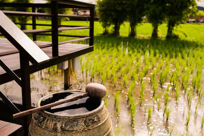 Ladle over water in container against field