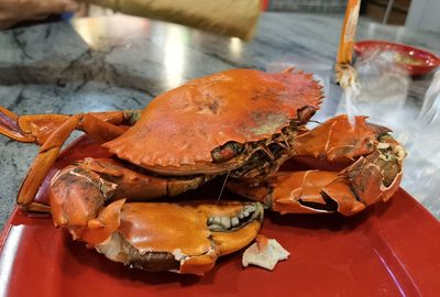 High angle view of crab in plate on table