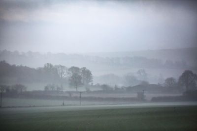 Trees on field against sky during foggy weather