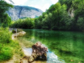 Scenic view of lake against trees