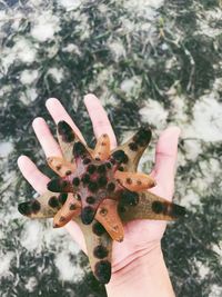 Close-up of hand holding leaf against blurred background