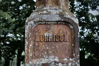 Close-up of rusty sign on tree trunk