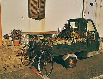 Cars parked in front of building