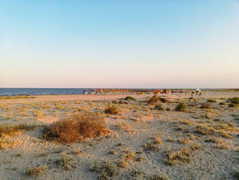 Scenic view of beach against clear sky