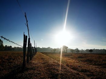 Scenic view of agricultural field against bright sun