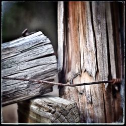 Close-up of wooden plank