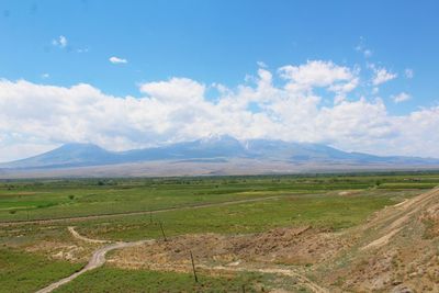 Scenic view of agricultural field against sky