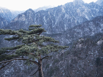 Scenic view of mountains during winter